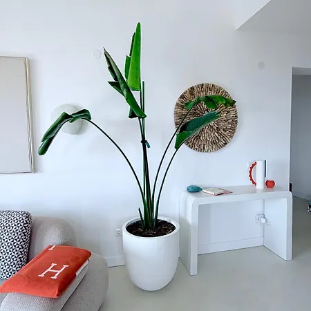 Seaside Luxury - Lozenetz Lozenets